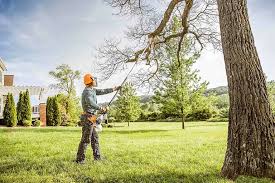 Reliable Marco Island, FL  Tree Services Solutions